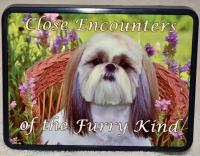 Hitch Cover- Shih Tzu with Close Encounters of the Furry Kind