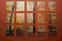 Image of fall scene broken into multiple panel and hung on the wall