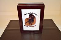 Take me on a Walk, Good Deal, lets to go the park! leash holder box/ Pet contest!