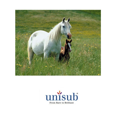 Unisub Sublimation Blank Aluminum Sheet Stock - 23.25