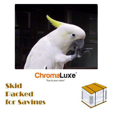 ChromaLuxe Sublimation Blank Aluminum Photo Panel - 32