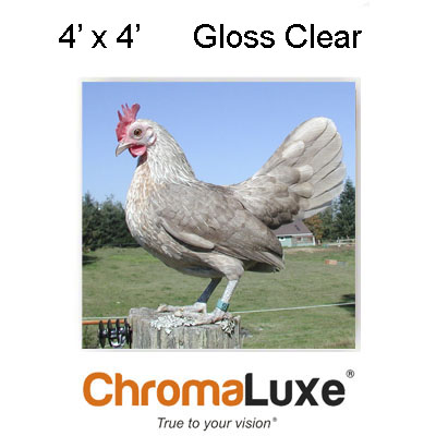 ChromaLuxe Sublimation Blank Aluminum Sheet Stock - 48.5" x 49" - Gloss Clear - 1-Sided