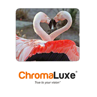 ChromaLuxe Sublimation Blank Aluminum Photo Panel - 12" x 16" - Gloss White