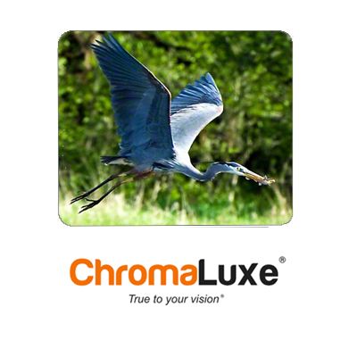 ChromaLuxe Sublimation Blank Aluminum Photo Panel - 12" x 16" - Matte White